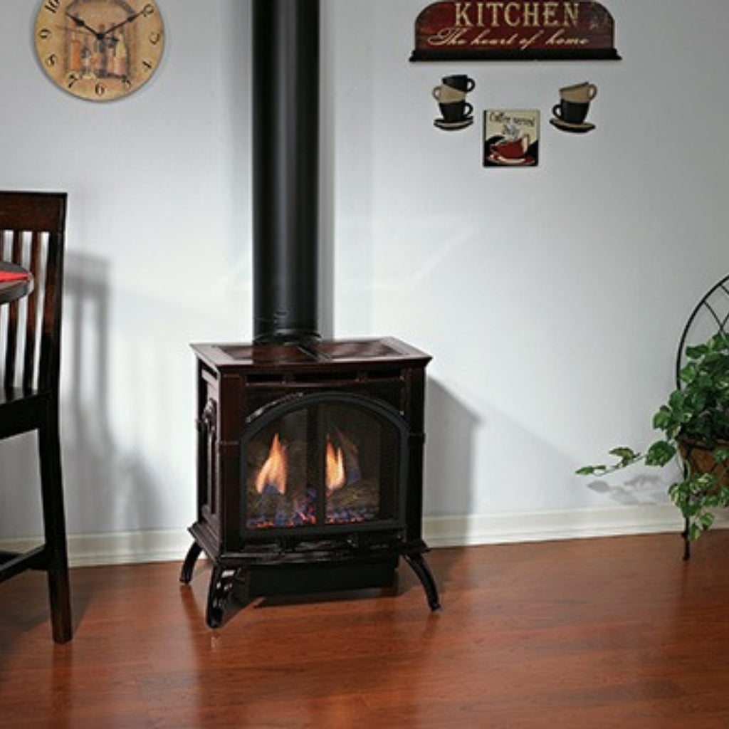 Empire Spirit Cast Iron 22" Small Direct Vent Gas Stove – Alternate View 5
