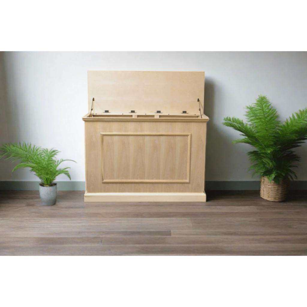 Touchstone Mini Elevate TV Lift Cabinet