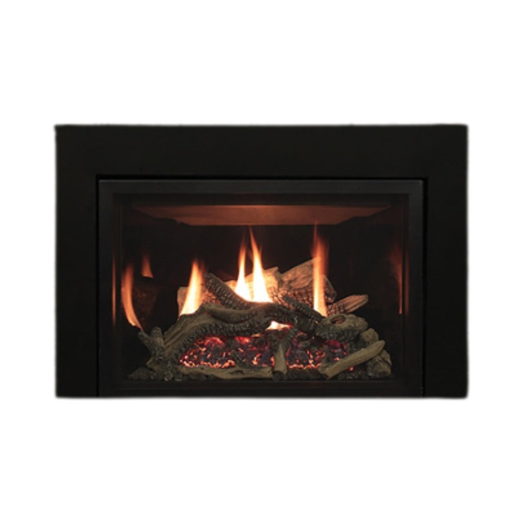 Empire Rushmore 30" Clean Face Direct Vent Fireplace Insert – Front View