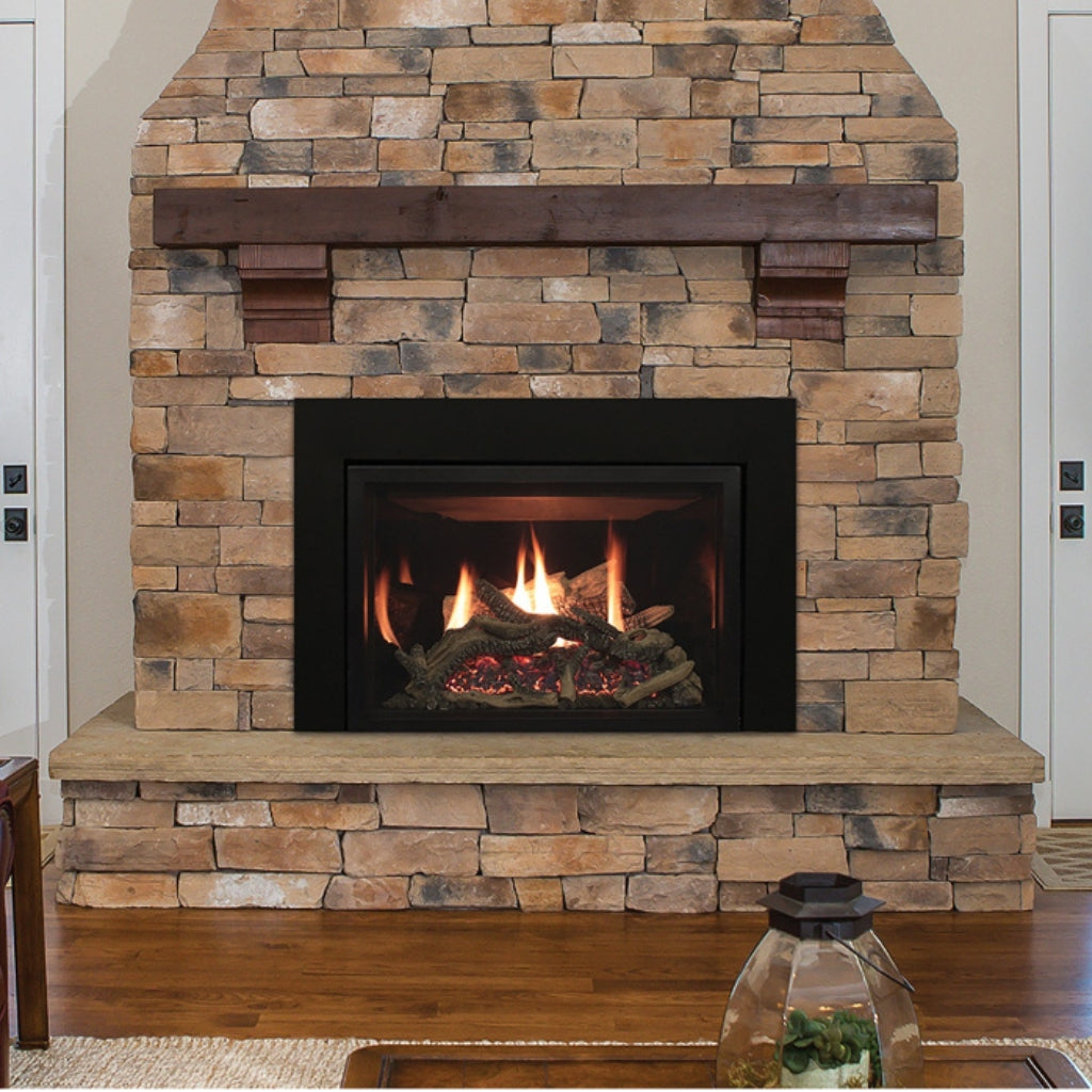 Empire Rushmore 30" Clean Face Direct Vent Fireplace Insert – Alternate View 2