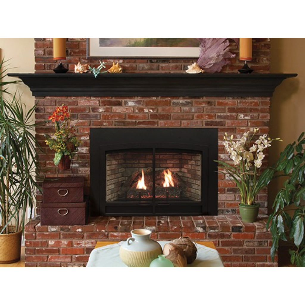 Empire Innsbrook 46" Large Direct-Vent Clean Face Gas Fireplace Insert – Front View