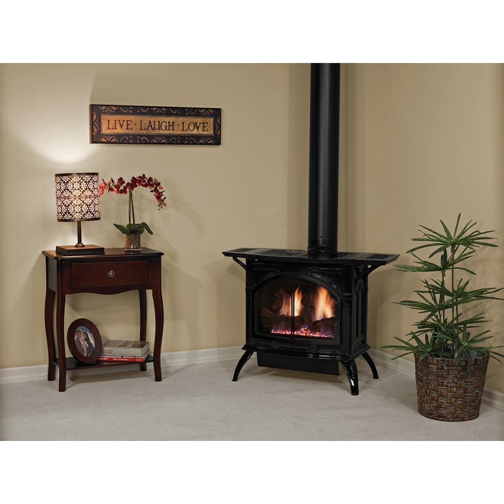 Empire Spirit Steel 28" Medium Direct Vent Gas Stove – Alternate View 3