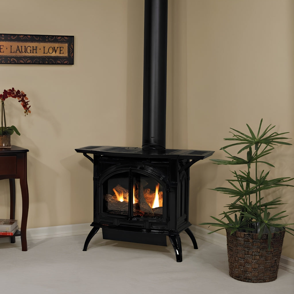 Empire Spirit Cast Iron 28" Medium Direct Vent Gas Stove – Alternate View 3