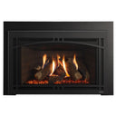 Majestic Contemporary Arch Screen Front for 30" Gas Fireplace Inserts - Isolated studio hero shot of the Ruby Platinum 30 insert itself (white/no background, straight-on), manufacturer-filenamed '..._BlkContArch_SmSurr_so' = Black Contemporary Arch front 
