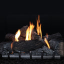 Empire Carol Rose 24" Outdoor Harmony Burner-Millivolt (Burner Only) – Front View